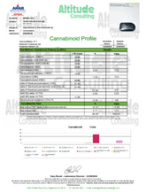 Blueberry Glue THC Vape Pen 3g Disposable